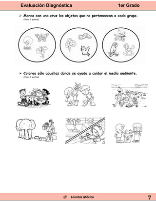 Evaluación Diagnóstica 1er Grado
® Lainitas México 7
 Marca con una cruz los objetos que no pertenezcan a cada grupo.
(Valor 3 puntos)
 Colorea sólo aquellas donde se ayuda a cuidar el medio ambiente.
(Valor 3 puntos)
 