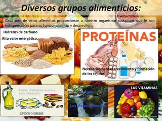 Diversos grupos alimenticios:
Cada uno de estos alimentos proporcionan a nuestro organismo sustancias que le son
indispensables para su funcionamiento y desarrollo
Alto valor energético.
Hidratos de carbono
Necesarios para el crecimiento y formación
de los tejidos
 