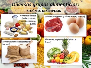 Diversos grupos alimenticios:
SEGÚN SU DESCRIPCIÓN
Alimentos lácteos
(leche, caseína,
crema, manteca,
queso)
Alimentos cárneos y afines (carne, huevos)
Alimentos farináceos (cereales,
harinas)
Alimentos vegetales (hortalizas, y
frutas)
 
