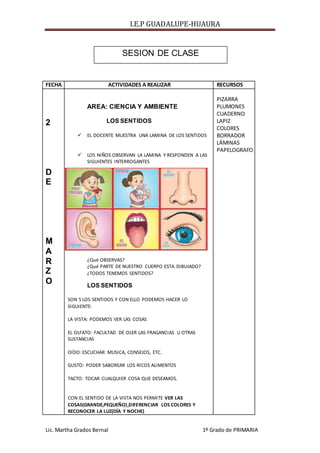I.E.P GUADALUPE-HUAURA
Lic. Martha Grados Bernal 1º Grado de PRIMARIA
FECHA ACTIVIDADES A REALIZAR RECURSOS
2
D
E
M
A
R
Z
O
AREA: CIENCIA Y AMBIENTE
LOS SENTIDOS
 EL DOCENTE MUESTRA UNA LAMINA DE LOS SENTIDOS
 LOS NIÑOS OBSERVAN LA LAMINA Y RESPONDEN A LAS
SIGUIENTES INTERROGANTES
¿Qué OBSERVAS?
¿Qué PARTE DE NUESTRO CUERPO ESTA DIBUJADO?
¿TODOS TENEMOS SENTIDOS?
LOS SENTIDOS
SON 5 LOS SENTIDOS Y CON ELLO PODEMOS HACER LO
SIGUIENTE:
LA VISTA: PODEMOS VER LAS COSAS
EL OLFATO: FACULTAD DE OLER LAS FRAGANCIAS U OTRAS
SUSTANCIAS
OÍDO: ESCUCHAR MUSICA, CONSEJOS, ETC.
GUSTO: PODER SABOREAR LOS RICOS ALIMENTOS
TACTO: TOCAR CUALQUIER COSA QUE DESEAMOS.
CON EL SENTIDO DE LA VISTA NOS PERMITE VER LAS
COSAS(GRANDE,PEQUEÑO),DIFERENCIAR LOS COLORES Y
RECONOCER LA LUZ(DÍA Y NOCHE)
PIZARRA
PLUMONES
CUADERNO
LAPIZ
COLORES
BORRADOR
LÁMINAS
PAPELOGRAFO
SESION DE CLASE
 
