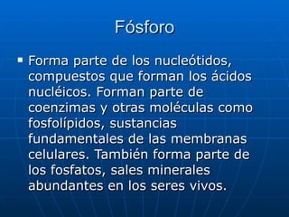 Fósforo Forma parte de los nucleótidos, compuestos que forman los ácidos nucléicos. Forman parte de coenzimas y otras moléculas como fosfolípidos, sustancias fundamentales de las membranas celulares. También forma parte de los fosfatos, sales minerales abundantes en los seres vivos. 
