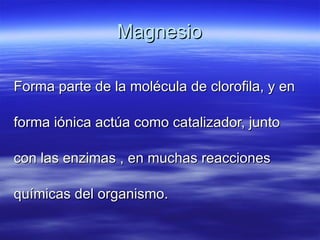 Magnesio Forma parte de la molécula de clorofila, y en  forma iónica actúa como catalizador, junto  con las enzimas , en muchas reacciones  químicas del organismo. 
