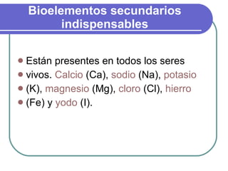 Bioelementos secundarios indispensables Están presentes en todos los seres  vivos.  Calcio  (Ca),  sodio  (Na),  potasio   (K),  magnesio  (Mg),  cloro  (Cl),  hierro   (Fe) y  yodo  (I).  