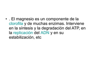 . El magnesio es un componente de la  clorofila  y de muchas enzimas. Interviene en la síntesis y la degradación del ATP, en la  replicación  del  ADN  y en su estabilización, etc  