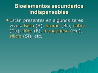 Bioelementos secundarios indispensables Están presentes en algunos seres vivos.  Boro  (B),  bromo  (Br),  cobre  (Cu),  flúor  (F),  manganeso  (Mn),  silicio  (Si), etc.  