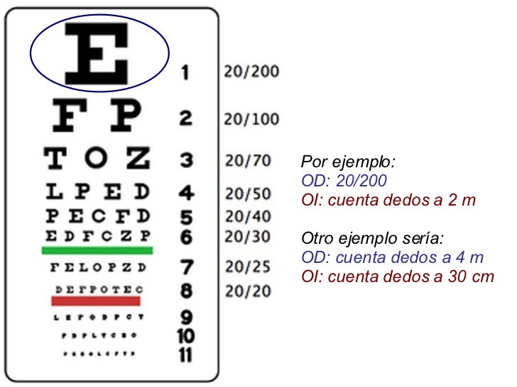 1era Clase Oftalmologia