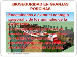 P. Agr. María Cristina Díaz Díaz
 