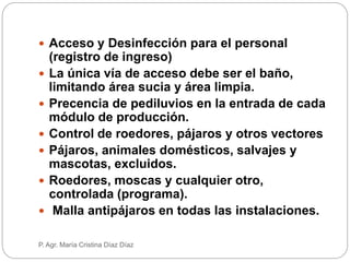  Acceso y Desinfección para el personal
(registro de ingreso)
 La única vía de acceso debe ser el baño,
limitando área sucia y área limpia.
 Precencia de pediluvios en la entrada de cada
módulo de producción.
 Control de roedores, pájaros y otros vectores
 Pájaros, animales domésticos, salvajes y
mascotas, excluidos.
 Roedores, moscas y cualquier otro,
controlada (programa).
 Malla antipájaros en todas las instalaciones.
P. Agr. María Cristina Díaz Díaz
 