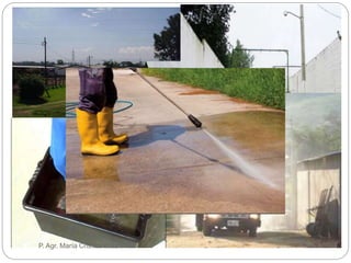 P. Agr. María Cristina Díaz Díaz
 