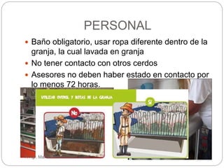 PERSONAL
 Baño obligatorio, usar ropa diferente dentro de la
granja, la cual lavada en granja
 No tener contacto con otros cerdos
 Asesores no deben haber estado en contacto por
lo menos 72 horas.
P. Agr. María Cristina Díaz Díaz
 