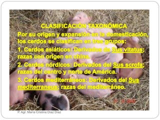 P. Agr. María Cristina Díaz Díaz
 