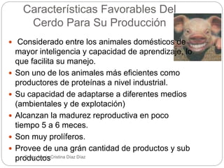 Características Favorables Del
Cerdo Para Su Producción
 Considerado entre los animales domésticos de
mayor inteligencia y capacidad de aprendizaje, lo
que facilita su manejo.
 Son uno de los animales más eficientes como
productores de proteínas a nivel industrial.
 Su capacidad de adaptarse a diferentes medios
(ambientales y de explotación)
 Alcanzan la madurez reproductiva en poco
tiempo 5 a 6 meces.
 Son muy prolíferos.
 Provee de una grán cantidad de productos y sub
productosP. Agr. María Cristina Díaz Díaz
 