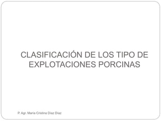 CLASIFICACIÓN DE LOS TIPO DE
EXPLOTACIONES PORCINAS
P. Agr. María Cristina Díaz Díaz
 