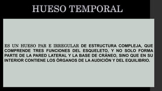 ES UN HUESO PAR E IRREGULAR DE ESTRUCTURA COMPLEJA, QUE
COMPRENDE TRES FUNCIONES DEL ESQUELETO, Y NO SOLO FORMA
PARTE DE LA PARED LATERAL Y LA BASE DE CRÁNEO, SINO QUE EN SU
INTERIOR CONTIENE LOS ÓRGANOS DE LA AUDICIÓN Y DEL EQUILIBRIO.
 
