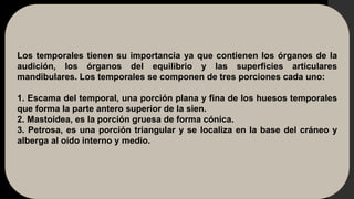 Los temporales tienen su importancia ya que contienen los órganos de la
audición, los órganos del equilibrio y las superficies articulares
mandibulares. Los temporales se componen de tres porciones cada uno:
1. Escama del temporal, una porción plana y fina de los huesos temporales
que forma la parte antero superior de la sien.
2. Mastoidea, es la porción gruesa de forma cónica.
3. Petrosa, es una porción triangular y se localiza en la base del cráneo y
alberga al oído interno y medio.
 