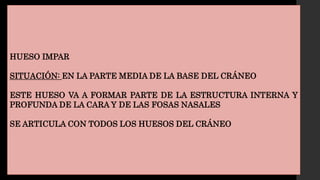HUESO IMPAR
SITUACIÓN: EN LA PARTE MEDIA DE LA BASE DEL CRÁNEO
ESTE HUESO VA A FORMAR PARTE DE LA ESTRUCTURA INTERNA Y
PROFUNDA DE LA CARA Y DE LAS FOSAS NASALES
SE ARTICULA CON TODOS LOS HUESOS DEL CRÁNEO
 