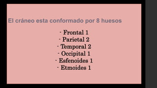 El cráneo esta conformado por 8 huesos
- Frontal 1
- Parietal 2
- Temporal 2
- Occipital 1
- Esfenoides 1
- Etmoides 1
 