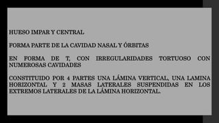 HUESO IMPAR Y CENTRAL
FORMA PARTE DE LA CAVIDAD NASAL Y ÓRBITAS
EN FORMA DE T, CON IRREGULARIDADES TORTUOSO CON
NUMEROSAS CAVIDADES
CONSTITUIDO POR 4 PARTES UNA LÁMINA VERTICAL, UNA LAMINA
HORIZONTAL Y 2 MASAS LATERALES SUSPENDIDAS EN LOS
EXTREMOS LATERALES DE LA LÁMINA HORIZONTAL.
 