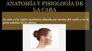La cara es la región anatómica ubicada por encima del cuello y en la
parte anterior de la cabeza.
 