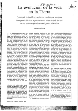 1er articulo. la_evolucion_de_la_vida_sjg