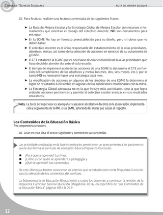 Consejos Técnicos Escolares	 ruta de mejora escolar
12
15.	Para finalizar, realicen una lectura comentada de las siguientes frases:
➤	 La Ruta de Mejora Escolar y la Estrategia Global de Mejora Escolar son recursos y he-
rramientas que orientan el trabajo del colectivo docente, NO son documentos para
entregar.
➤	En la EGME No hay un formato preestablecido para su diseño, pero sí rubros que no
deben faltar.
➤	 El colectivo docente es el único responsable del establecimiento de la o las prioridades,
objetivos, metas; así como de la selección de acciones en ejercicio de su autonomía de
gestión.
➤	 El CTE establece la EGME que es necesario diseñar en función de la o las prioridades que
haya decidido atender durante el ciclo escolar.
➤	 El tiempo de implementación de las acciones de una EGME lo determina el CTE en fun-
ción del cumplimiento de los objetivos y metas (un mes, dos, seis meses, etc.), por lo
tanto NO es necesario hacer una estrategia cada mes.
➤	La modificación de acciones en algunos de los ámbitos de una EGME la determina el
logro de resultados o el cambio en algunas de las condiciones relacionadas con la meta.
➤	La Estrategia Global adecuada no es la que incluye más actividades, sino la que logra
articular acciones pertinentes y permite al colectivo escolar avanzar en sus resultados
educativos.
Nota:	La tarea del supervisor es acompañar y asesorar al colectivo docente en la elaboración, implementa-
ción y seguimiento de la RME y sus EGME, aclarando las dudas que surjan al respecto.
Los Contenidos de la Educación Básica
Tres componentes curriculares
16.	Lean en voz alta el texto siguiente y comenten su contenido.
Las actividades realizadas en la fase intensiva les permitieron un acercamiento a los parámetros
que le dan forma al currículo de educación básica Propuesta Curricular:
■	 ¿Para qué se aprende? Los fines,
■	 ¿Cómo y con quién se aprende? La pedagogía y
■	 ¿Qué se aprende? Los contenidos.
De este último parámetro conocieron los criterios que se establecieron en la Propuesta Curricular
para la selección de los contenidos del currículo.
La Subsecretaría de Educación Básica invitó a todos los docentes a continuar la revisión de la
Propuesta Curricular para la Educación Obligatoria 2016, en específico de “Los Contenidos de
la Educación Básica” páginas 60 a la 219.
 