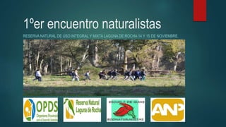 1ºer encuentro naturalistas
RESERVA NATURAL DE USO INTEGRAL Y MIXTA LAGUNA DE ROCHA 14 Y 15 DE NOVIEMBRE.
 