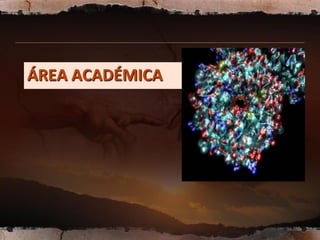 ÁREA ACADÉMICA
 