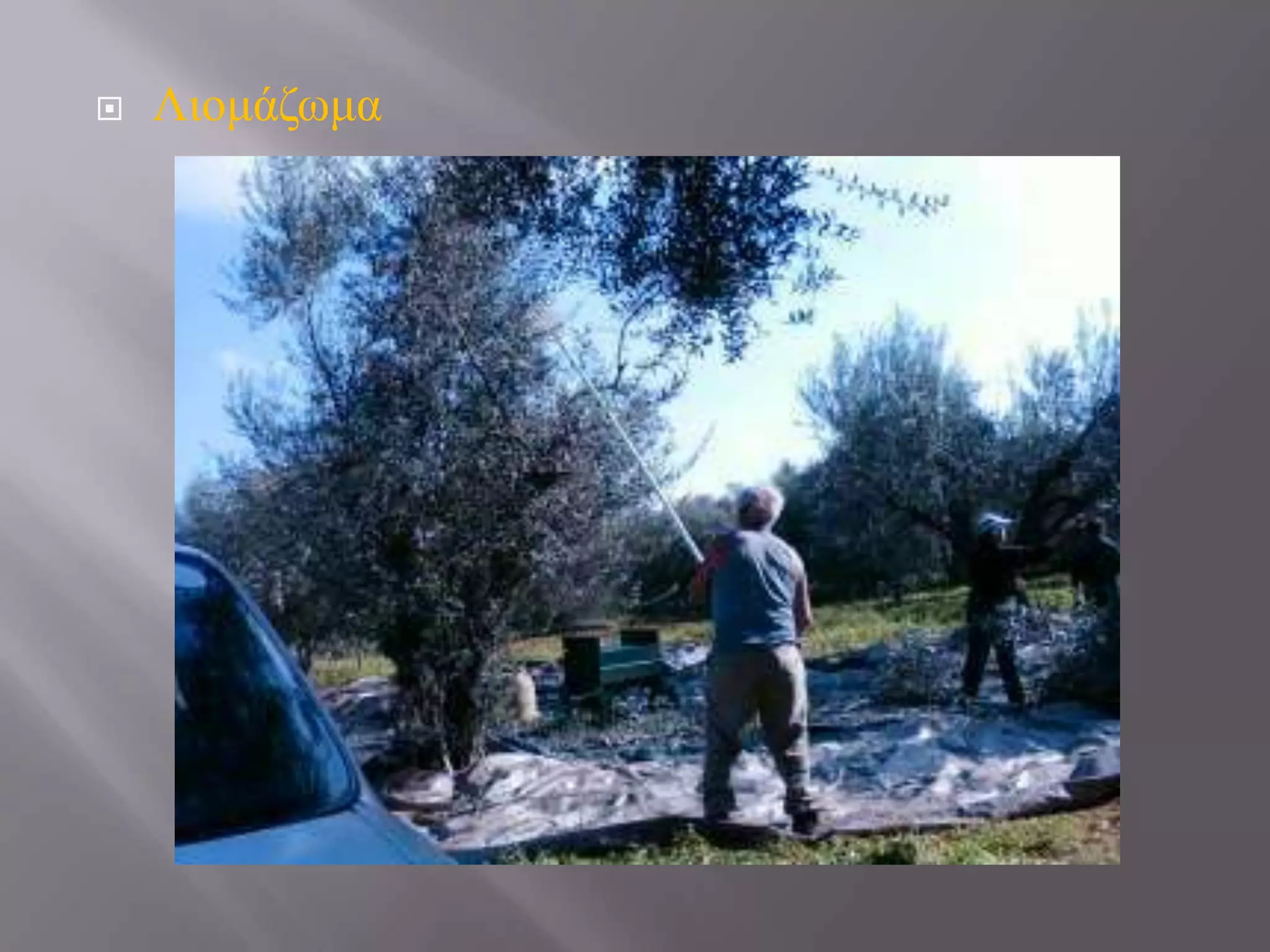 

Ληνκάδσκα

 