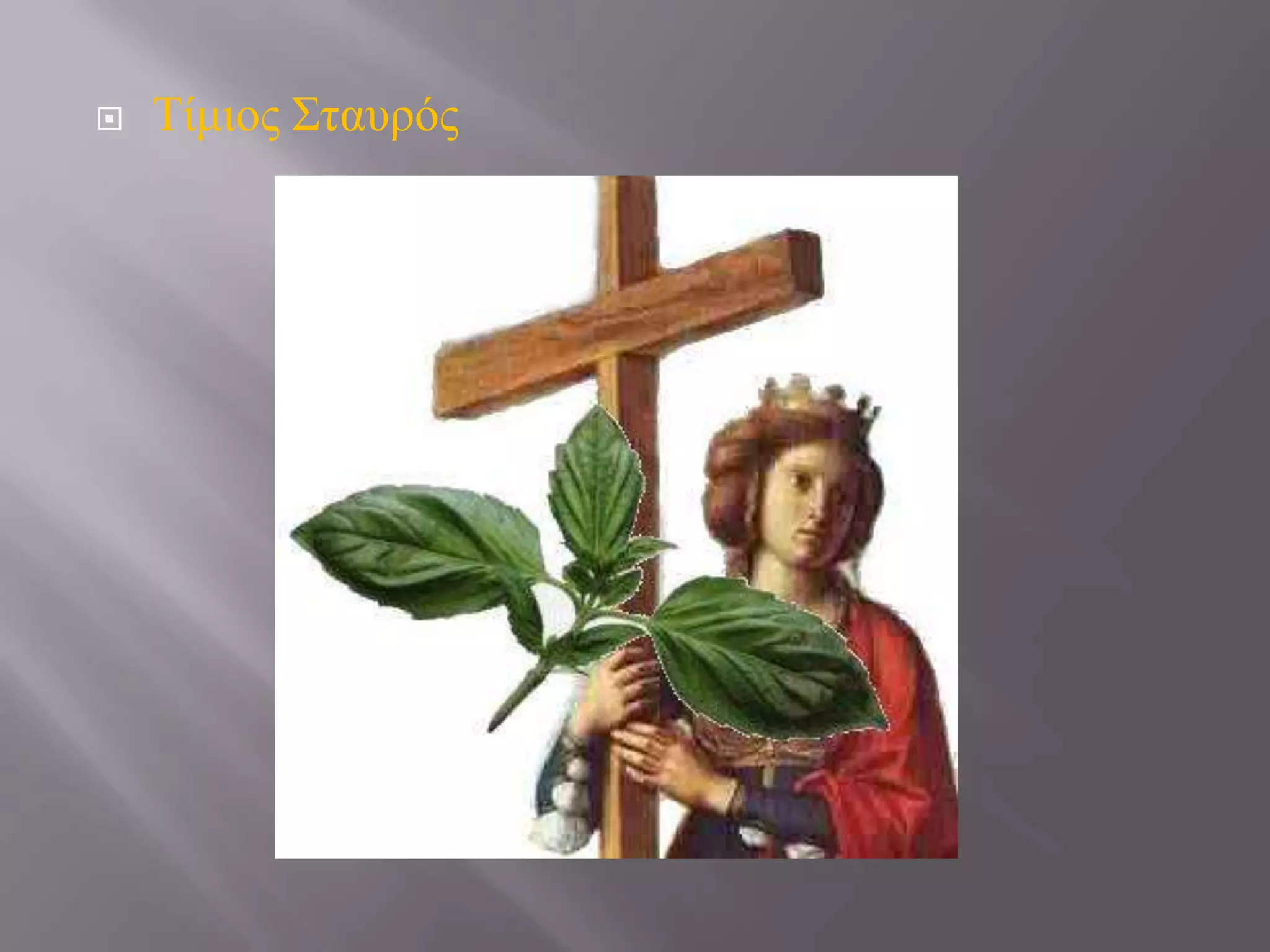 

Σίκηνο ΢ηαπξόο

 