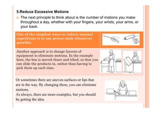 1 ergo n anatomy | PDF