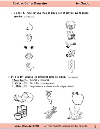 Evaluación 1er Bimestre 1er Grado 
Lainitas México 2014-2015 Un niño honesto, será un hombre de éxito. 
9 
 9 a la 13.- Une con una línea el dibujo con el sentido que lo puede percibir. (valor 5 puntos) 
 14 a la 19.- Colorea los alimentos como se indica. (valor 6 puntos) 
Frutas y verduras. 
Cereales y tubérculos. 
Leguminosas y alimentos de origen animal. 
 