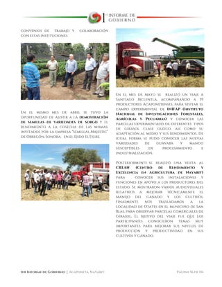  
1er Informe de Gobierno ⏐ Acaponeta, Nayarit. Página 56 de 116
convenios de trabajo y colaboración
con estas instituciones.
En el mismo mes de abril se tuvo la
oportunidad de asistir a la demostración
de semillas de variedades de sorgo y el
rendimiento a la cosecha de las mismas,
invitados por la empresa “Semillas Majestic”
de Obregón, Sonora; en el Ejido ElTigre.
En el mes de mayo se realizó un viaje a
Santiago Ixcuintla, acompañando a 39
productores Acaponetenses, para visitar el
campo experimental de INIFAP (Instituto
Nacional de Investigaciones Forestales,
Agrícolas y Pecuarias) y conocer las
parcelas experimentales de diferentes tipos
de girasol clase oléico, así como su
adaptación al medio y sus rendimientos. De
igual forma se pudo conocer las nuevas
variedades de guayaba y mango
susceptibles de procesamiento e
industrialización.
Posteriormente se realizó una visita al
CREAN (Centro de Rendimiento y
Excelencia en Agricultura de Nayarit)
para conocer sus instalaciones y
funciones en apoyo a los productores del
estado. Se mostraron varios audiovisuales
relativos a mejorar técnicamente el
manejo del ganado y los cultivos.
Finalmente nos trasladamos a la
localidad de Otates en el municipio de San
Blas, para observar parcelas comerciales de
Girasol. El bjetivo del viaje fue que los
participantes conocieron temas muy
importantes para mejorar sus niveles de
producción y productividad en sus
cultivos y ganado.
 