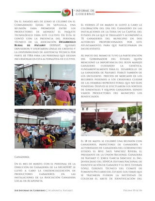  
1er Informe de Gobierno ⏐ Acaponeta, Nayarit. Página 59 de 116
En el pasado mes de junio se celebró en el
Comisariado Ejidal de Sayulilla, una
reunión para promover entre los
productores de ajonjolí el paquete
tecnológico para este cultivo. En ésta se
contó con la presencia del personal
técnico de la asociación Desarrollo
Rural de Nayarit DERNAY, quienes
expusieron y ofertaron líneas de crédito y
la disponibilidad de asistencia técnica por
parte de FIRA para las personas que desean
incursionar en esta alternativa de cultivo.
Ganadería
En el mes de marzo, con el personal de la
Dirección de Ganadería de la SAGADERP, se
llevó a cabo la credencialización de
productores ganaderos en las
instalaciones de la Asociación Ganadera
Local de Acaponeta.
El viernes 27 de marzo se llevó a cabo la
celebración del día del Ganadero en las
instalaciones de la Feria en la Capital del
Estado, en la que se trasladó y acompañó a
70 ganaderos del municipio en dos
autobuses proporcionados por este
Ayuntamiento, para que participaran en
dicho evento.
Al inicio del mismo se tuvo la participación
del Gobernador del Estado, quién
mencionó la importancia del buen manejo
ganadero cuidando la genética,
fundamentalmente para el desarrollo de
la ganadería de Nayarit. Habló también de
los excelentes precios de mercado de los
becerros pidiendo a los criadores cuidar
de las hembras reproductoras, que no sean
vendidas. Después se efectuaron los sorteos
de sementales y equipos ganaderos, siendo
varios productores del municipio los
beneficiados.
El 18 de mayo, se celebró una reunión con
ganaderos, inspectores de ganadería y
autoridades de ganadería del gobierno del
estado, el Mvz. Saúl Sánchez Rivera, el
presidente de la Unión Regional Ganadera
de Nayarit C. Jorge García Sánchez, el Ing.
Javier Jasso del SIINIGA (Sistema Nacional de
Identificación de Ganado) y el Mvz. Esteban
López, Gerente Técnico del Comité de
Fomento Pecuario del Estado. Los temas que
se trataron fueron la necesidad de
colocar el arete de identificación del
 