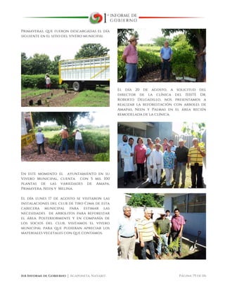  
1er Informe de Gobierno ⏐ Acaponeta, Nayarit. Página 79 de 116
Primaveras, que fueron descargadas el día
siguiente en el sitio del vivero municipal
En este momento el ayuntamiento en su
Vivero Municipal, cuenta con 5 mil 100
plantas de las variedades de Amapa,
Primavera, Neen y Melina.
El día lunes 17 de agosto se visitaron las
instalaciones del club de tiro Cima de esta
cabecera municipal para estimar las
necesidades de arbolitos para reforestar
el área. Posteriormente y en compañía de
los socios del club, visitamos el vivero
municipal para que pudieran apreciar los
materiales vegetales con que contamos.
El día 20 de agosto, a solicitud del
director de la clínica del ISSSTE Dr.
Roberto Delgadillo, nos presentamos a
realizar la reforestación con arboles de
Amapas, Neen y Palmas en el área recién
remodelada de la clínica.
 