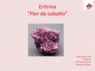 Eritrina
“Flor de cobalto”
Marta Vegas García
2º Bach (D)
IES “Pedro Espinosa”
Antequera (Málaga)
 