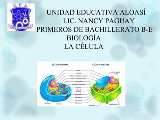 UNIDAD EDUCATIVA ALOASÍ
LIC. NANCY PAGUAY
PRIMEROS DE BACHILLERATO B-E
BIOLOGÍA
LA CÉLULA
 