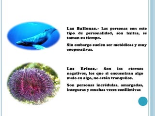Las Ballenas.-  Las personas con este tipo de personalidad, son lentas, se toman su tiempo. Sin embargo suelen ser metódicas y muy cooperativas. Los Erizos.-  Son los eternos negativos, los que si encuentran algo malo en algo, no están tranquilos. Son personas incrédulas, amargadas, inseguras y muchas veces conflictivas  