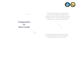 La atención de personas con padecimientos
mentales, la rehabilitación psiquiátrica de
enfermos mentales crónicos, deficientes mentales,
alcohólicos y personas que usen habitualmente
estupefacientes o substancias psicotrópicas
La organización, operación y supervisión de
instituciones dedicadas al estudio, tratamiento
y rehabilitación de enfermos mentales.
Componentes
de
Intervención
 