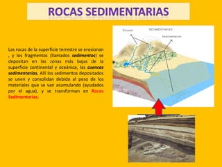 Las rocas de la superficie terrestre se erosionan
, y los fragmentos (llamados sedimentos) se
depositan en las zonas más bajas de la
superficie continental y oceánica, las cuencas
sedimentarias. Allí los sedimentos depositados
se unen y consolidan debido al peso de los
materiales que se van acumulando (ayudados
por el agua), y se transforman en Rocas
Sedimentarias.
 