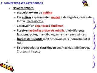 ELS INVERTEBRATS ARTRÒPODES
• ELS ARTRÒPODES:
– esquelet extern de quitina
– Per créixer experimenten mudes i, de vegades, canvis de
forma (metamorfosi).
– Cos dividit en cap, tòrax i abdòmen.
– Poseixen apèndixs articulats mòbils, amb diferents
funcions: potes, mandíbules, garres, antenes, pinces.
– Òrgans dels sentits molt desenvolupats (normalment al
cap)
– Els artròpodes es classifiquen en: Aràcnids, Miriàpodes,
Crustacis i Insecte
 