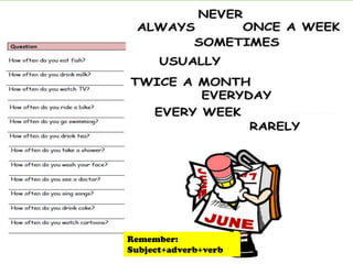 Remember:
Subject+adverb+verb

 