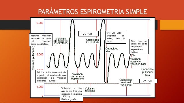 Espirometría Simple Y Forzada _ Que Es La Espirometría – SVBZU