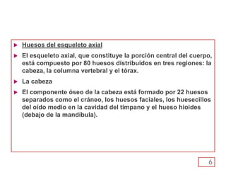  Huesos del esqueleto axial
 El esqueleto axial, que constituye la porción central del cuerpo,
está compuesto por 80 huesos distribuidos en tres regiones: la
cabeza, la columna vertebral y el tórax.
 La cabeza
 El componente óseo de la cabeza está formado por 22 huesos
separados como el cráneo, los huesos faciales, los huesecillos
del oído medio en la cavidad del tímpano y el hueso hioides
(debajo de la mandíbula).
6
 