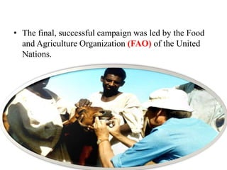 • The final, successful campaign was led by the Food
and Agriculture Organization (FAO) of the United
Nations.
 