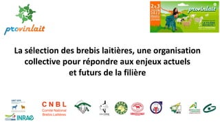 La sélection des brebis laitières, une organisation
collective pour répondre aux enjeux actuels
et futurs de la filière
C N B L
Comité National
Brebis Laitières
 