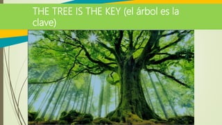 THE TREE IS THE KEY (el árbol es la
clave)
 