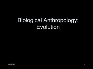 1/4/2016 1
Biological Anthropology:
Evolution
 