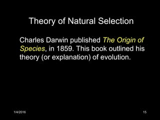 1/4/2016 15
Theory of Natural Selection
Charles Darwin published The Origin of
Species, in 1859. This book outlined his
theory (or explanation) of evolution.
 