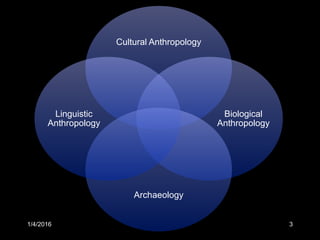 1/4/2016 3
Cultural Anthropology
Biological
Anthropology
Archaeology
Linguistic
Anthropology
 