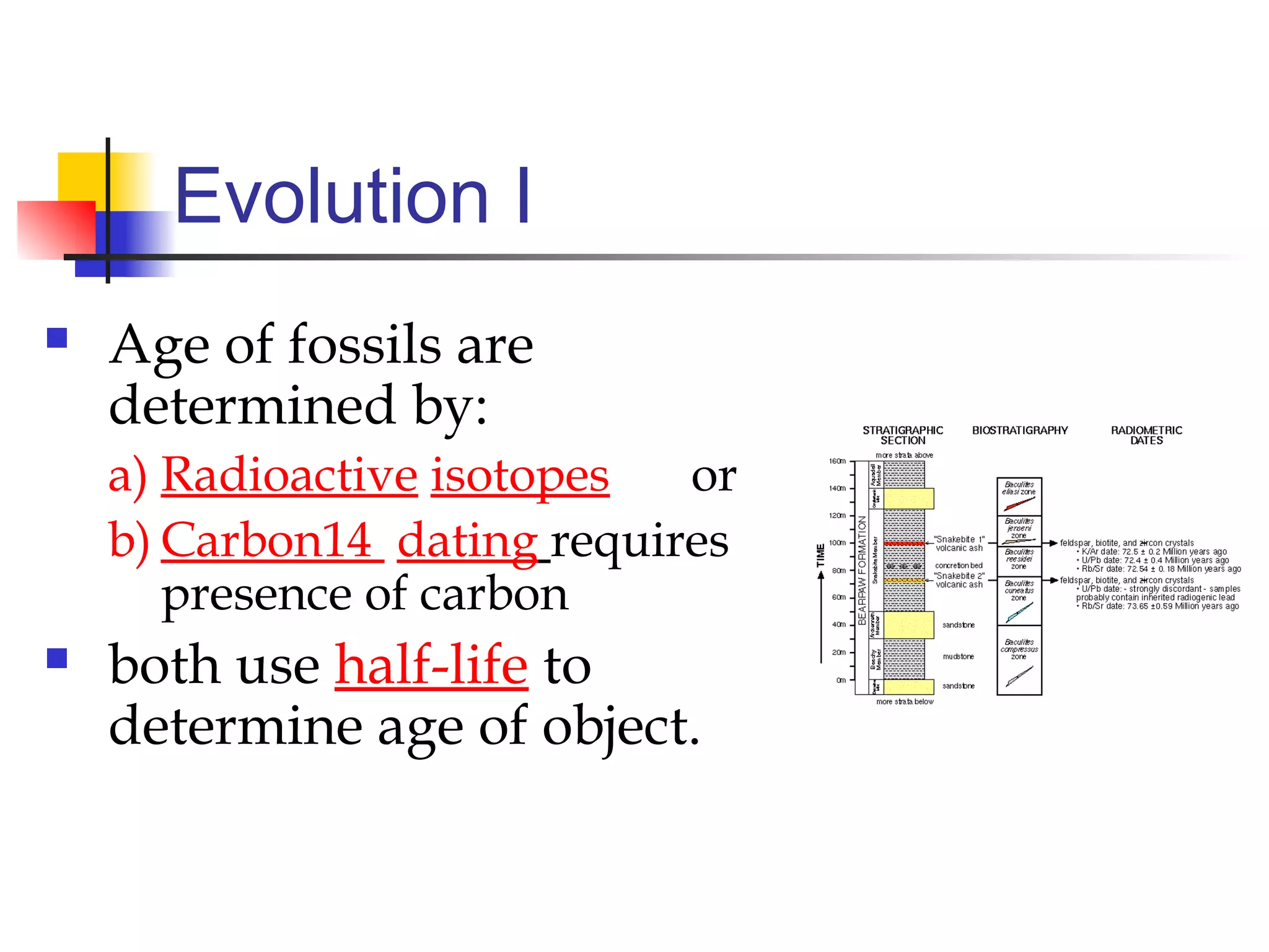 Evolution I
 Age of fossils are
determined by:
a) Radioactive isotopes or
b) Carbon14 dating requires
presence of carbon
 both use half-life to
determine age of object.
 